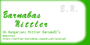 barnabas mittler business card